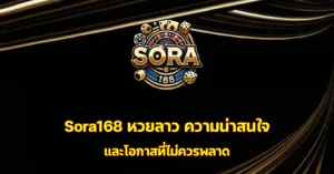 sora168